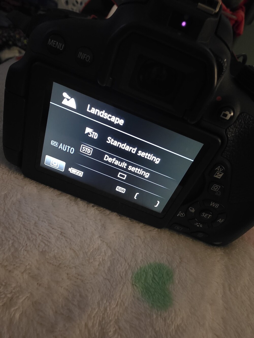 Canon Camera - Picture 9 of 12